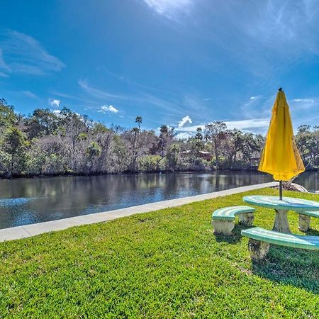 Withlacoochee River House With Dock And Kayaks! Yankeetown Eksteriør billede