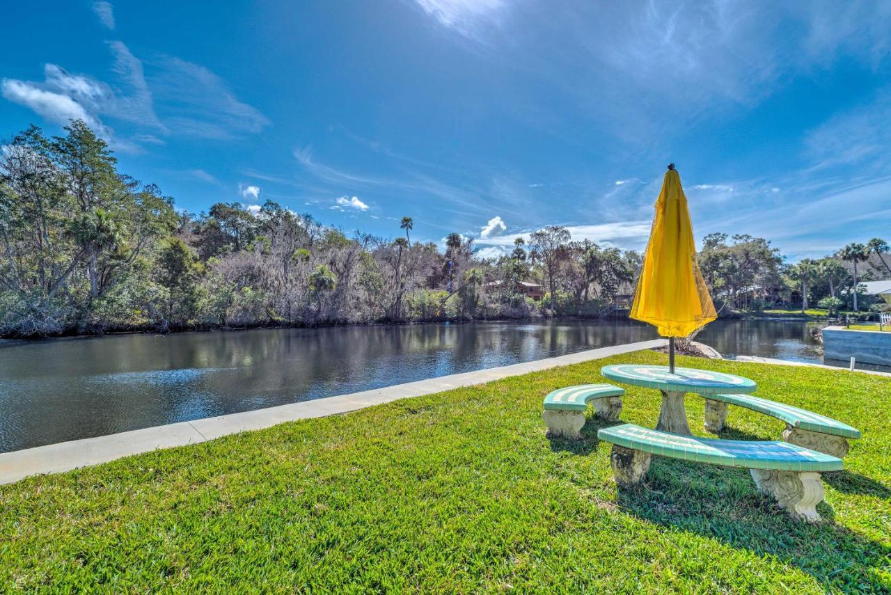 Withlacoochee River House With Dock And Kayaks! Yankeetown Eksteriør billede
